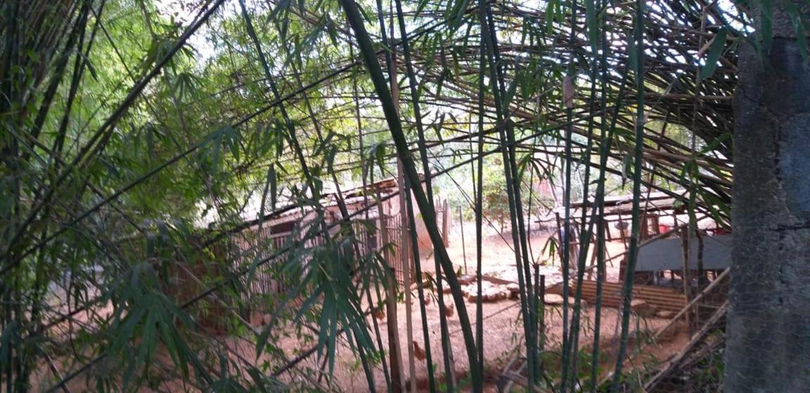 Pousada Sirius São Roque de Minas Buitenkant foto